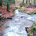 Διαμέρισμα Au Relais Des Ballons