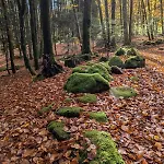 Au Relais Des Ballons Διαμέρισμα