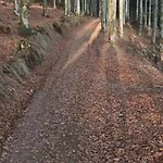 Au Relais Des Ballons Διαμέρισμα Saint-Maurice-sur-Moselle