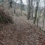 Au Relais Des Ballons * Saint-Maurice-sur-Moselle