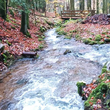 Lejlighed Au Relais Des Ballons