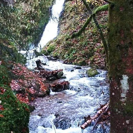 Lejlighed Au Relais Des Ballons Saint-Maurice-sur-Moselle