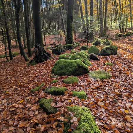 Au Relais Des Ballons 公寓