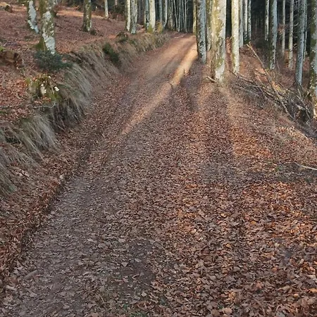 Au Relais Des Ballons 公寓 莫河畔圣莫利斯