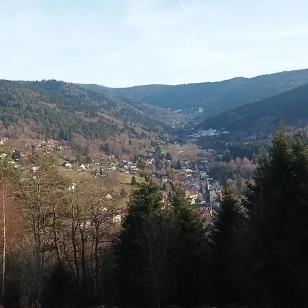 Au Relais Des Ballons شقة *