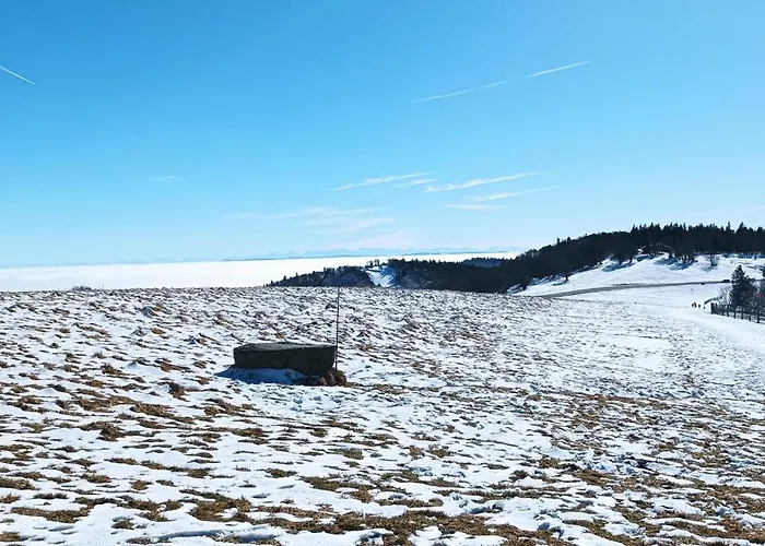 Au Relais Des Ballons Apartmán *
