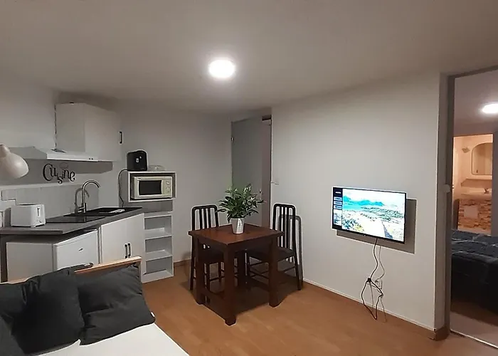 Au Relais Des Ballons Apartament