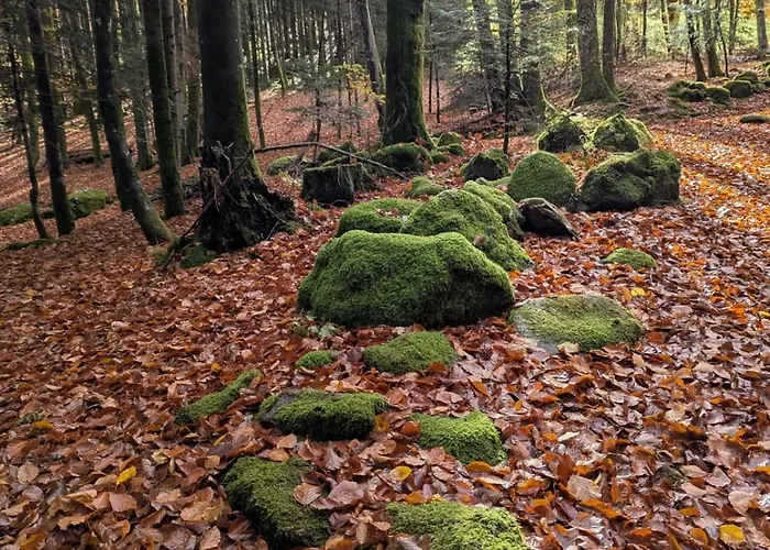 Au Relais Des Ballons Apartmán