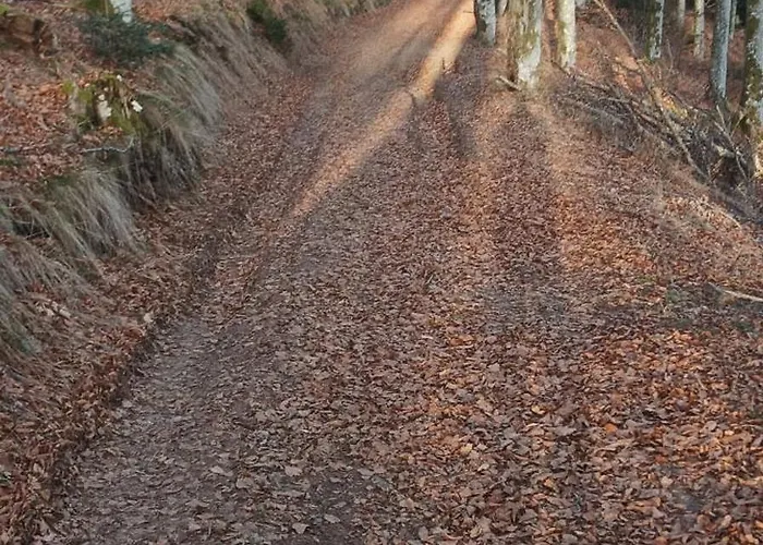 Au Relais Des Ballons Apartament Saint-Maurice-sur-Moselle