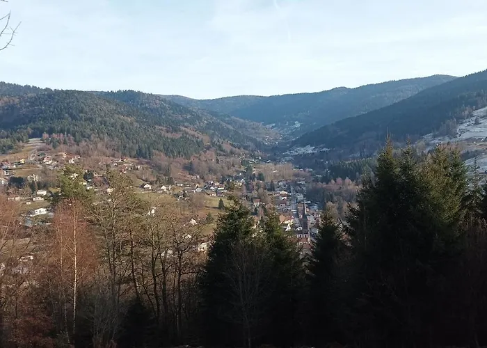 Au Relais Des Ballons Apartament *