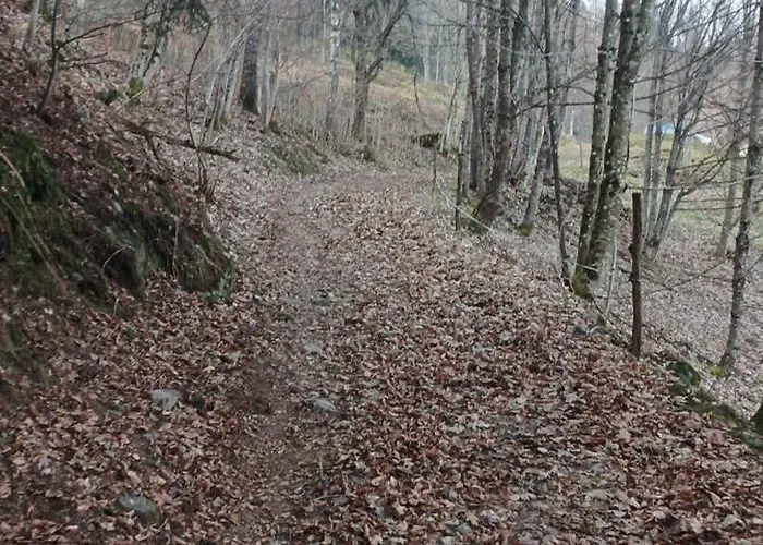 Au Relais Des Ballons * Saint-Maurice-sur-Moselle